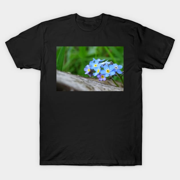 Forget-Me-Not T-Shirt by AH64D